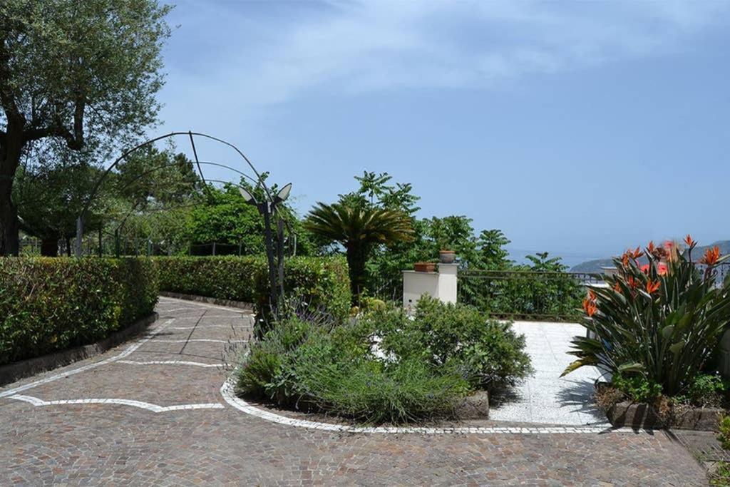 Casa Joyce Appartamento Sorrento Esterno foto